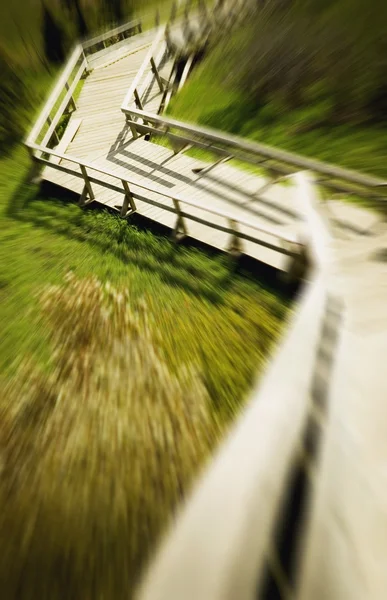 公園内の通路 — ストック写真