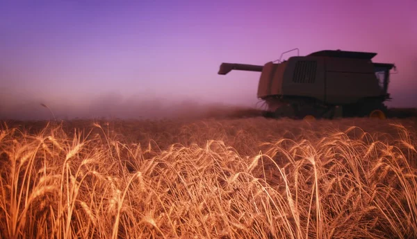 Maszyny rolnicze w polu zboża — Zdjęcie stockowe
