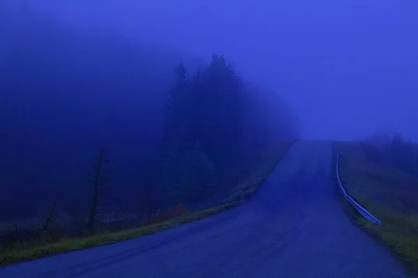 Una strada nella nebbia — Foto Stock