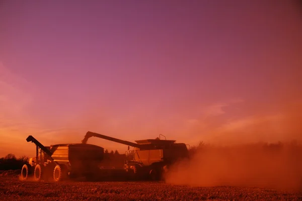Farm Equipment Harvesting A Crop — Stock Photo, Image