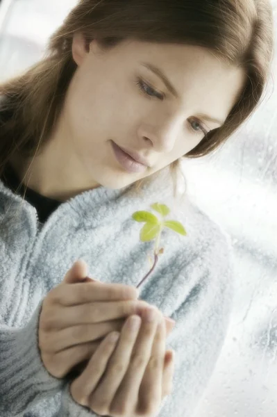 Молодая женщина с новым растением — стоковое фото