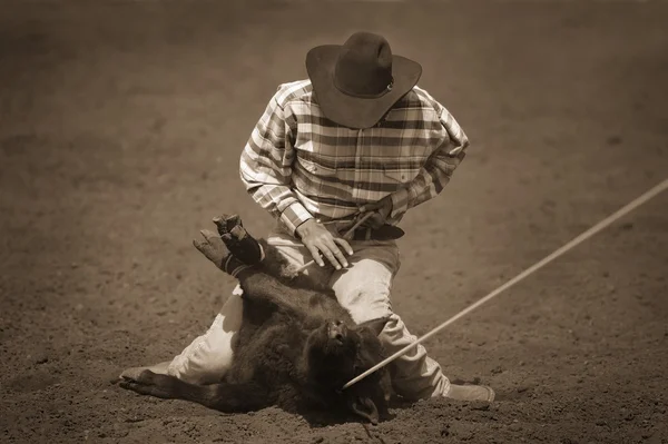 Cowboy Roping Vitello — Foto Stock