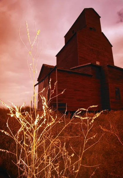 Élévateur de grain — Photo