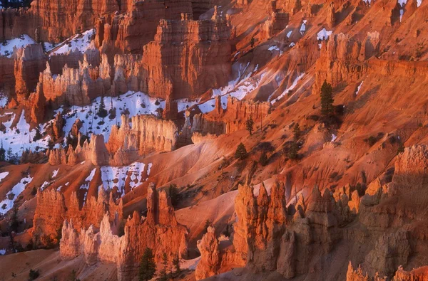 Kırmızı kaya oluşumları — Stok fotoğraf
