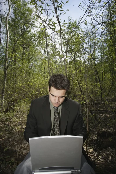 Werken op een pc in een bosrijke glade — Stockfoto