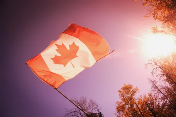 Bandeira do Canadá — Fotografia de Stock