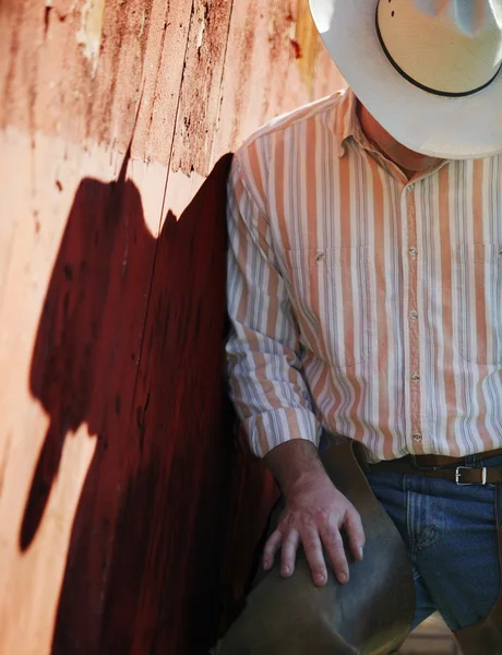 Porträt von cowboy — Stock fotografie