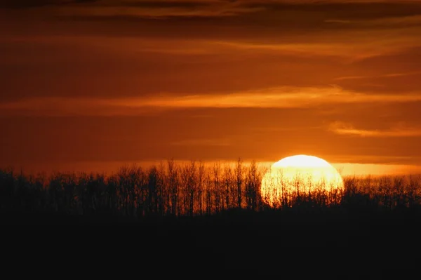 Ondergaande zon — Stockfoto