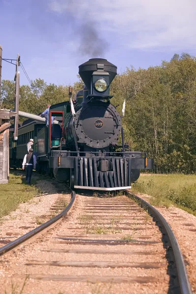 Steam Train — Stock Photo, Image