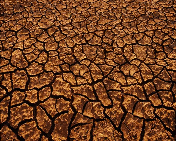 Kale grond — Stockfoto