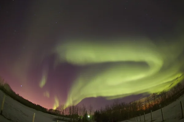 Zorza polarna edmonton alberta Kanada — Zdjęcie stockowe