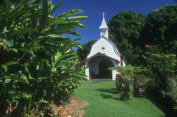 Iglesia blanca rural —  Fotos de Stock