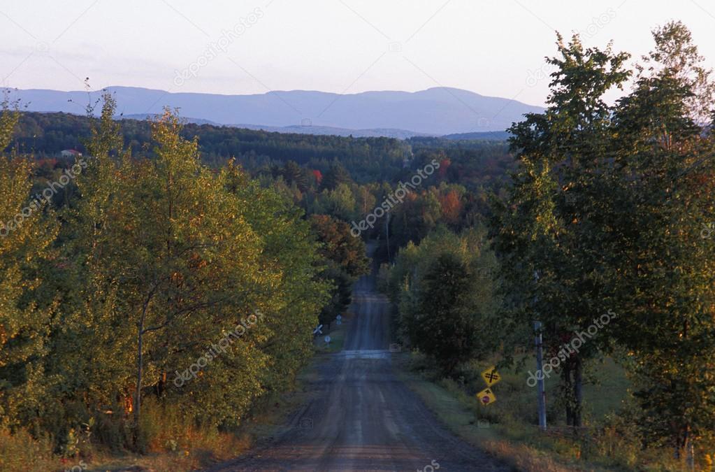 Road Through The Countryside