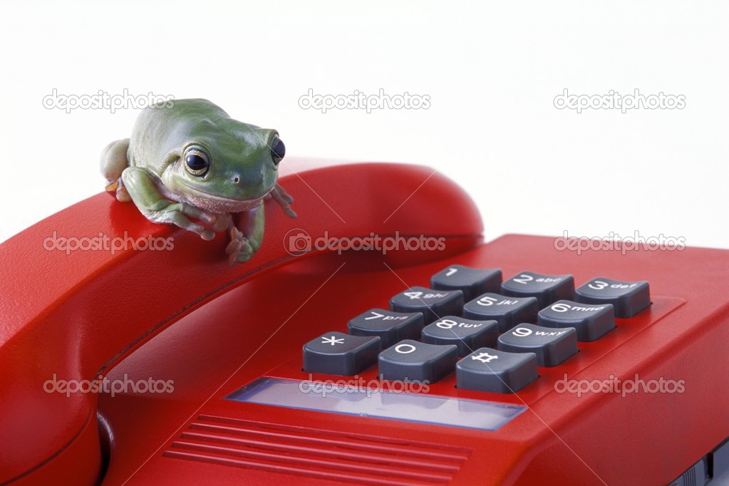 Frog On Telephone Keypad