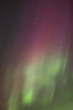Kuzey ışıkları, edmonton, alberta, Kanada