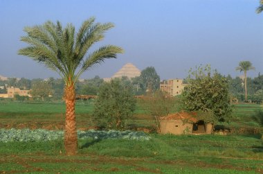 djoser arka planda adım Piramidi ile Mısır'daki Saqqara