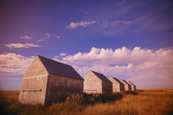 Row Of Old Farm Houses — Stock Photo, Image