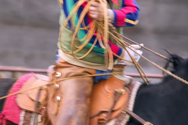 Cowboy usando Lasso — Fotografia de Stock