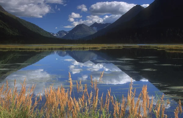 高山湖泊，kenai，阿拉斯加美国 — 图库照片