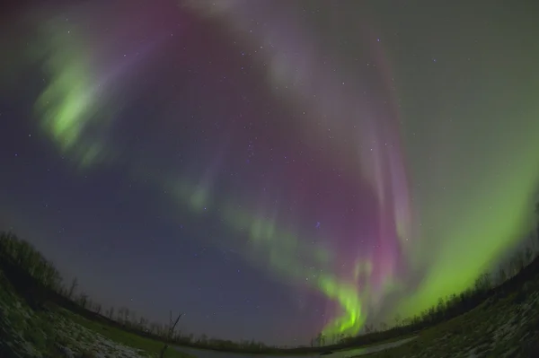 Kuzey ışıkları, edmonton, alberta, Kanada — Stok fotoğraf