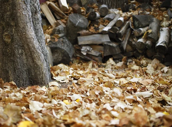 Gehäckseltes Holz und Herbstlaub — Stockfoto