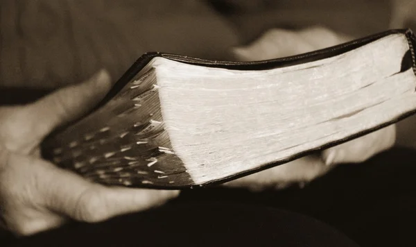 Eine Bibel in der Hand — Stockfoto