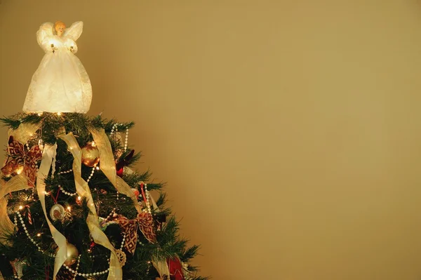 O topo de uma árvore de Natal — Fotografia de Stock