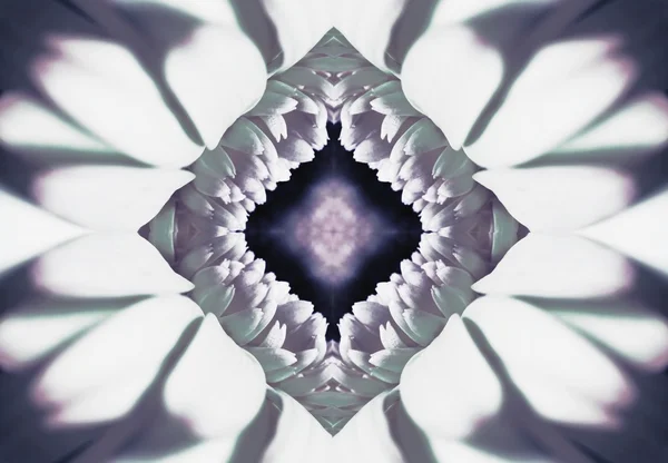 A Flower Kaleidoscope — Stock Photo, Image