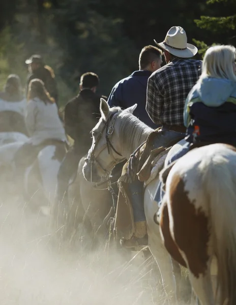 Trail Riding — Stock Photo, Image