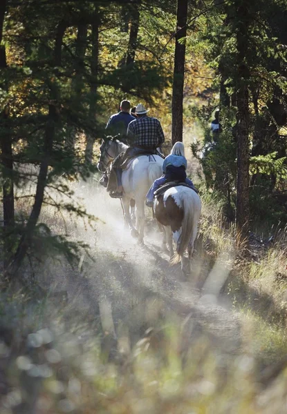 Trail Equitazione — Foto Stock