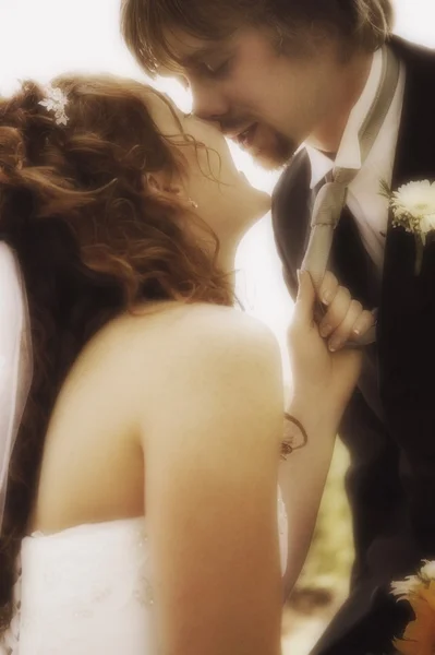 Recién casados beso — Foto de Stock
