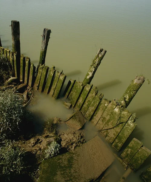 Een hek in het water — Stockfoto