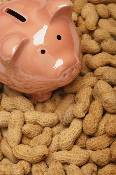 Piggy Bank et cacahuètes — Photo