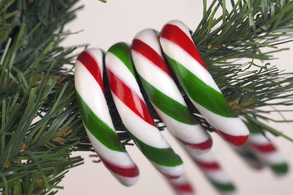 Candy Canes Hanging From Tree — Stock Photo, Image