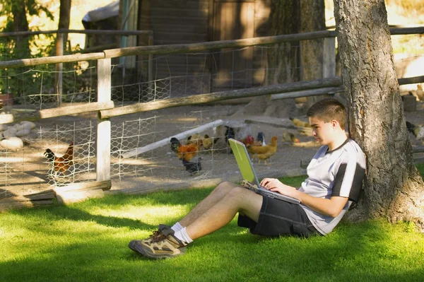 Teen Working On Computer Outside — Stock Photo, Image