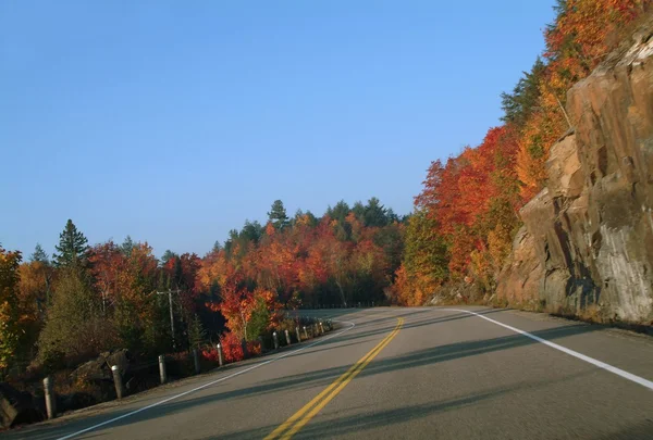 En naturskön motorväg — Stockfoto