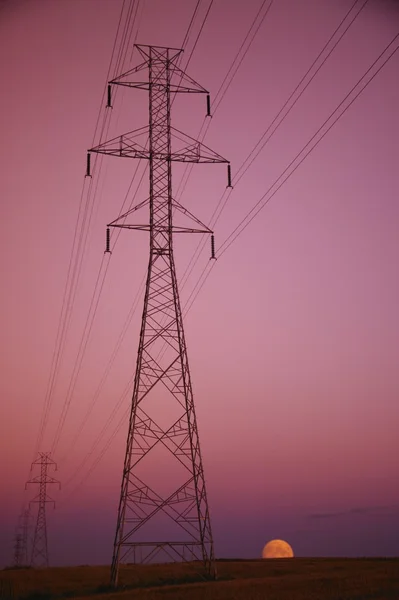 Elektrické sloupy — Stock fotografie