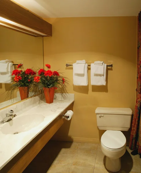 Um banheiro em um hotel — Fotografia de Stock