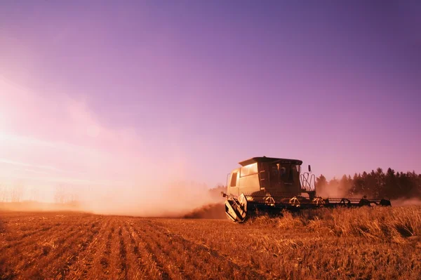 Récolte de matériel agricole — Photo