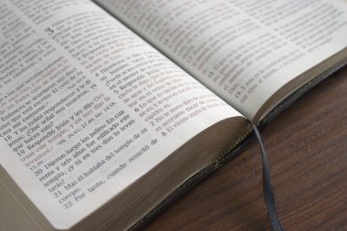 İspanyol İncil john 3:16-açık