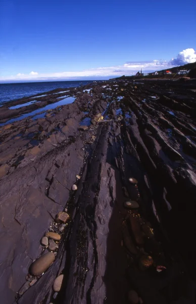 岩が多い海岸線 — ストック写真