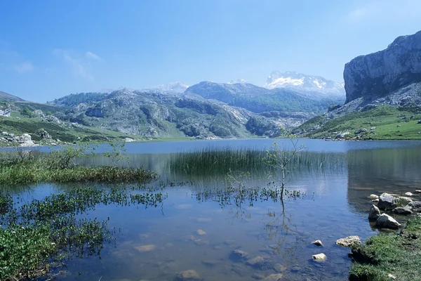 Lago de la ercina, Spanje — Stockfoto
