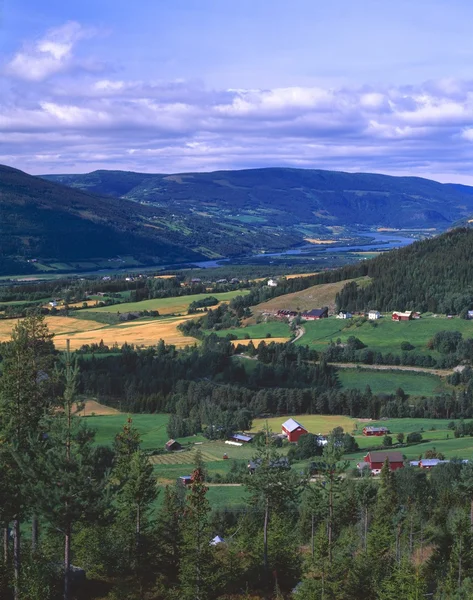 Norwegisches Tal mit Bauernhöfen — Stockfoto