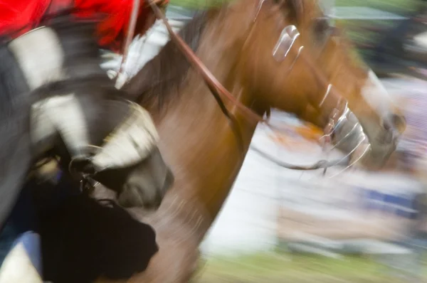 Velocidade a cavalo — Fotografia de Stock