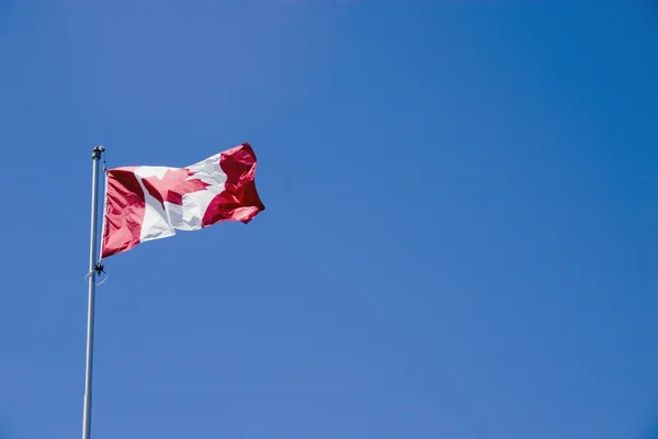 A bandeira canadense no vento — Fotografia de Stock