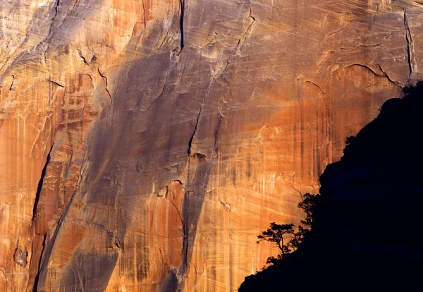 Faccia della montagna del cavo con la silhouette dell'albero, parco nazionale di Zion — Foto Stock
