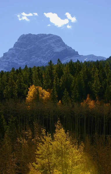 Dolina jesienią — Zdjęcie stockowe