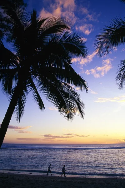 Tramonto, palme e persone sagomate sulla spiaggia di Rarotonga, Pacifico meridionale . — Foto Stock