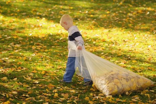 Ребенок тащит мешок с листьями — стоковое фото