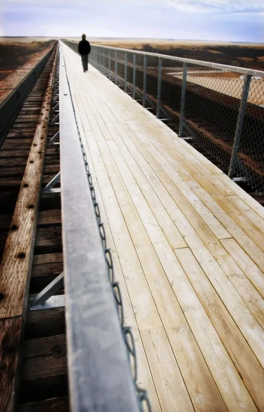 Berjalan di atas Boardwalk — Stok Foto